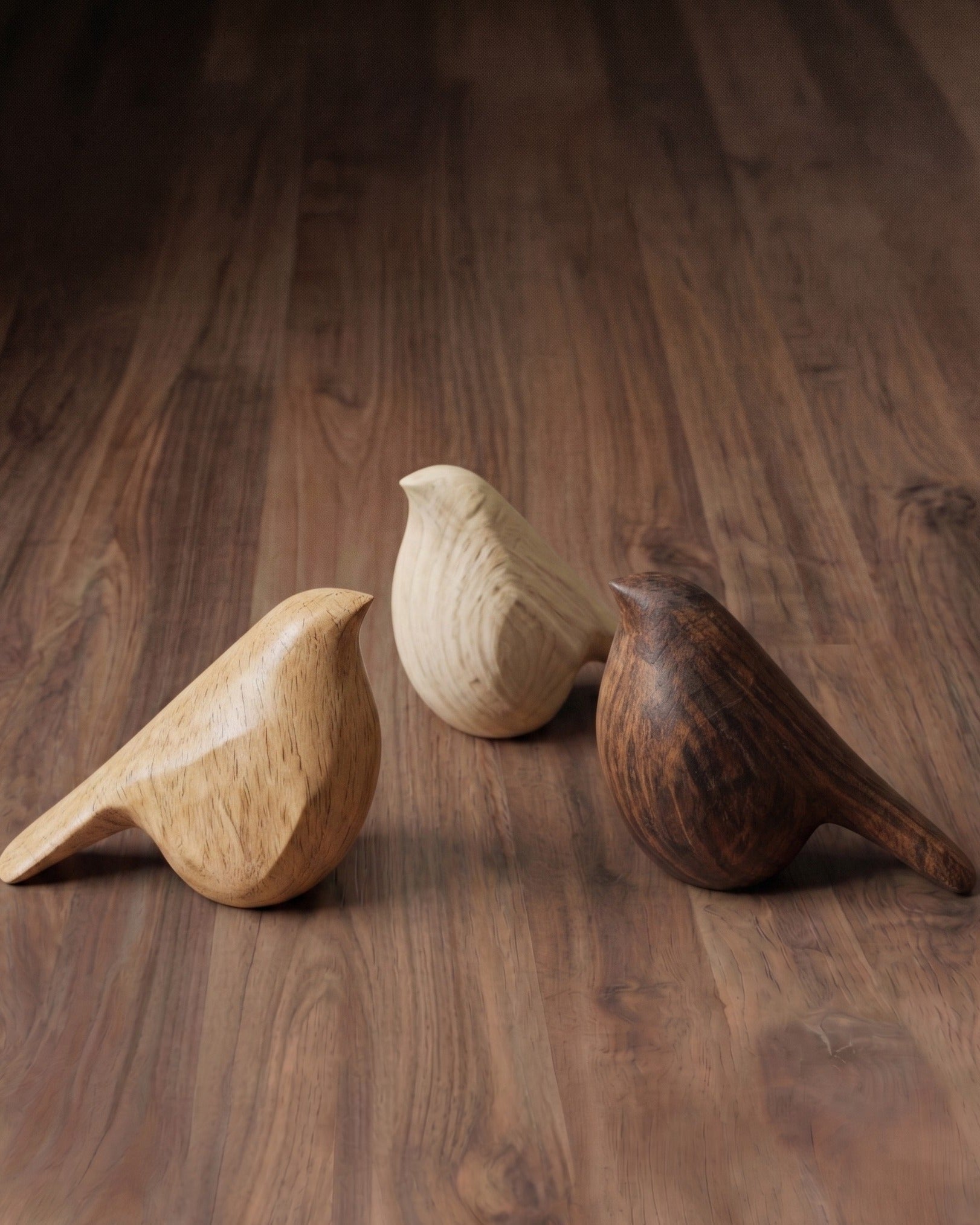 The Umber Avian