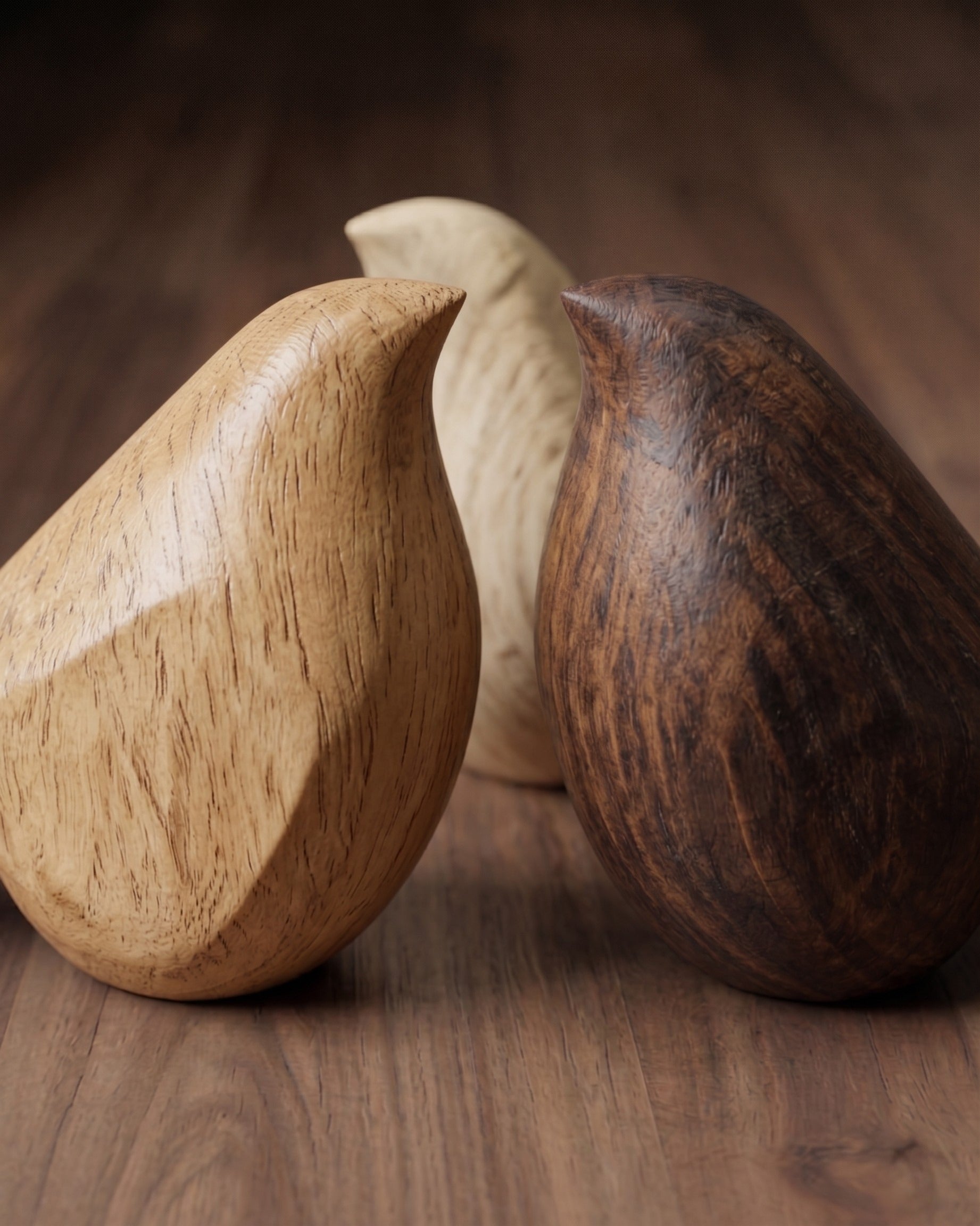 The Umber Avian