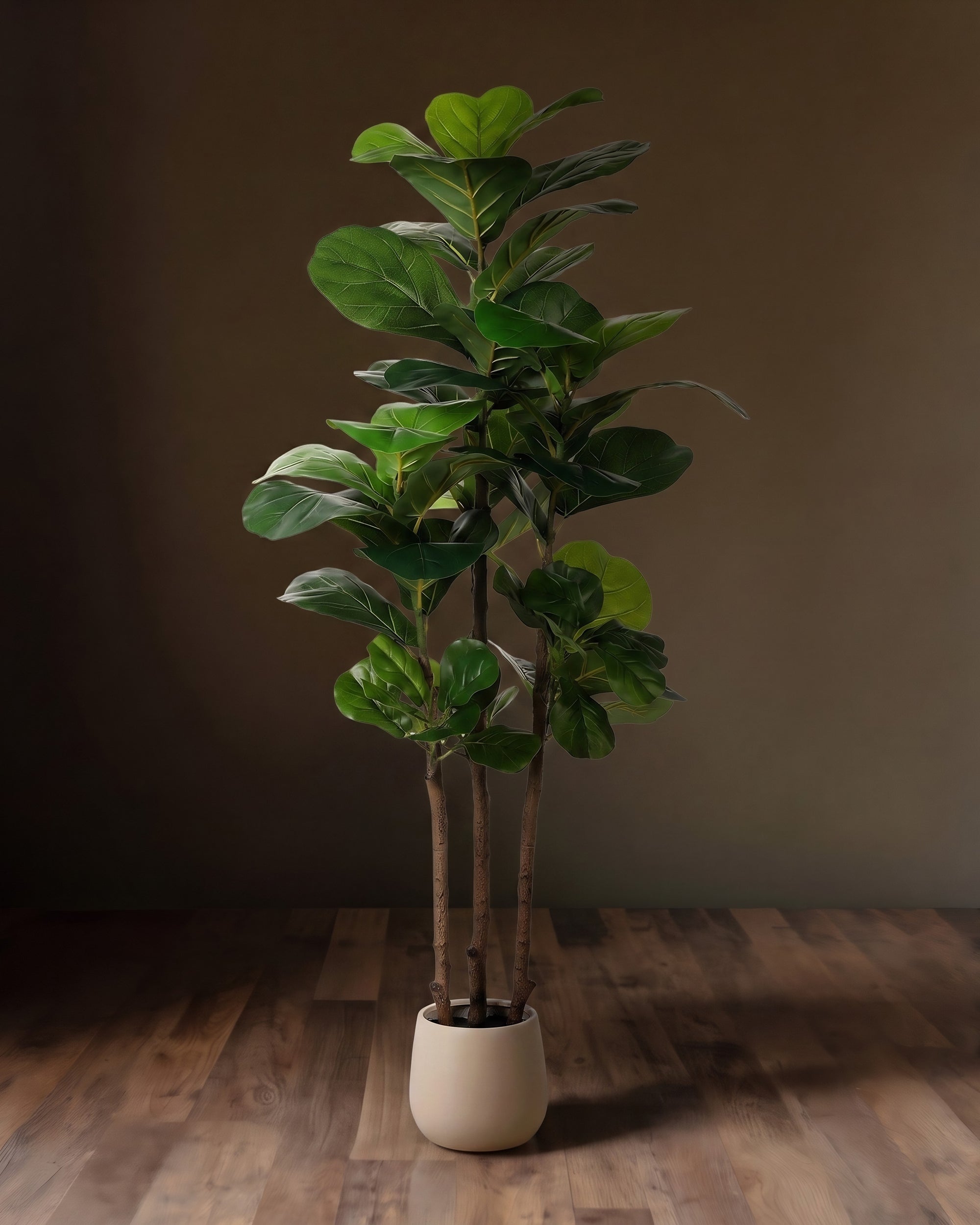 The Verant Triple-Trunk Fiddle Leaf Fig
