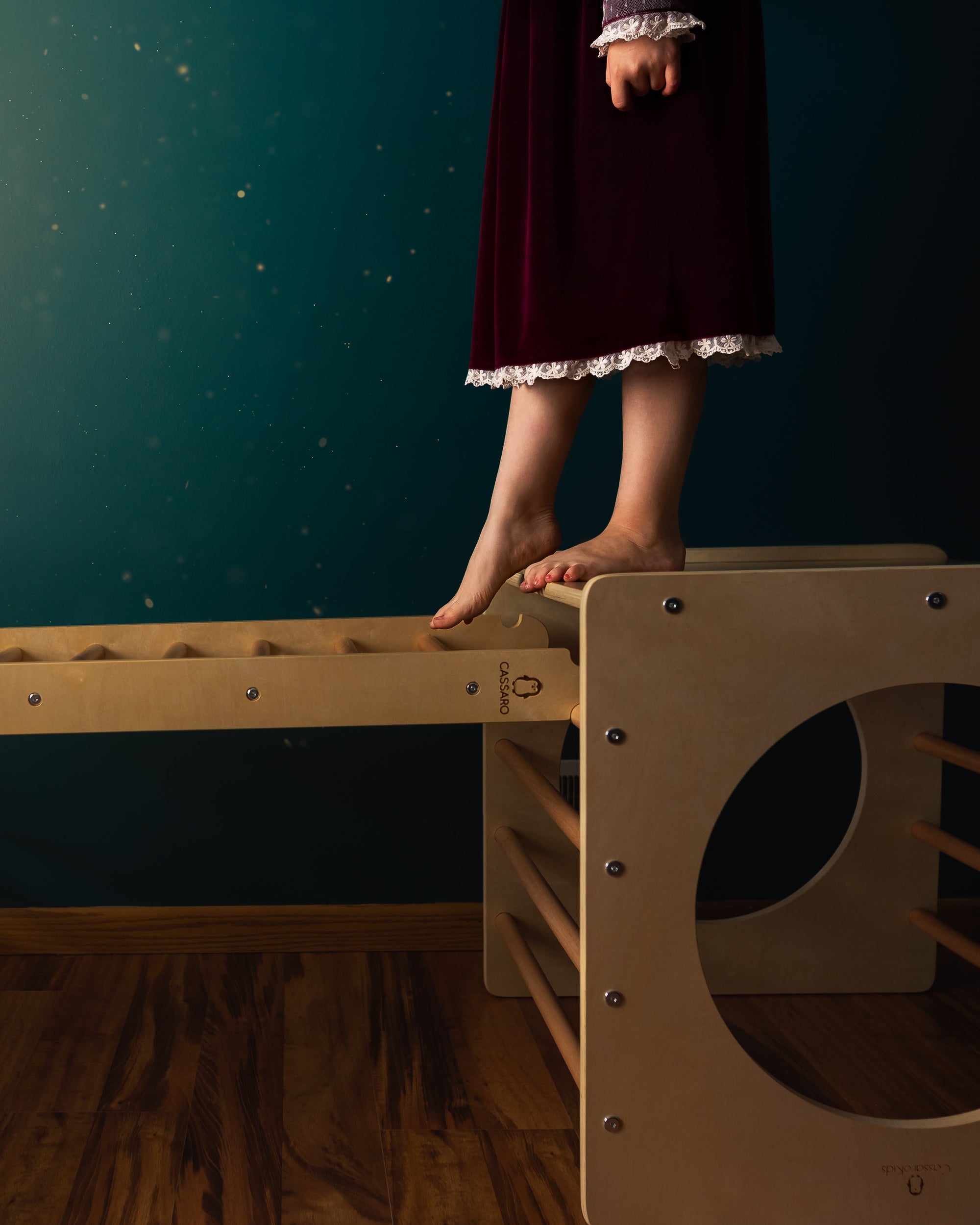 Climbing Ladder