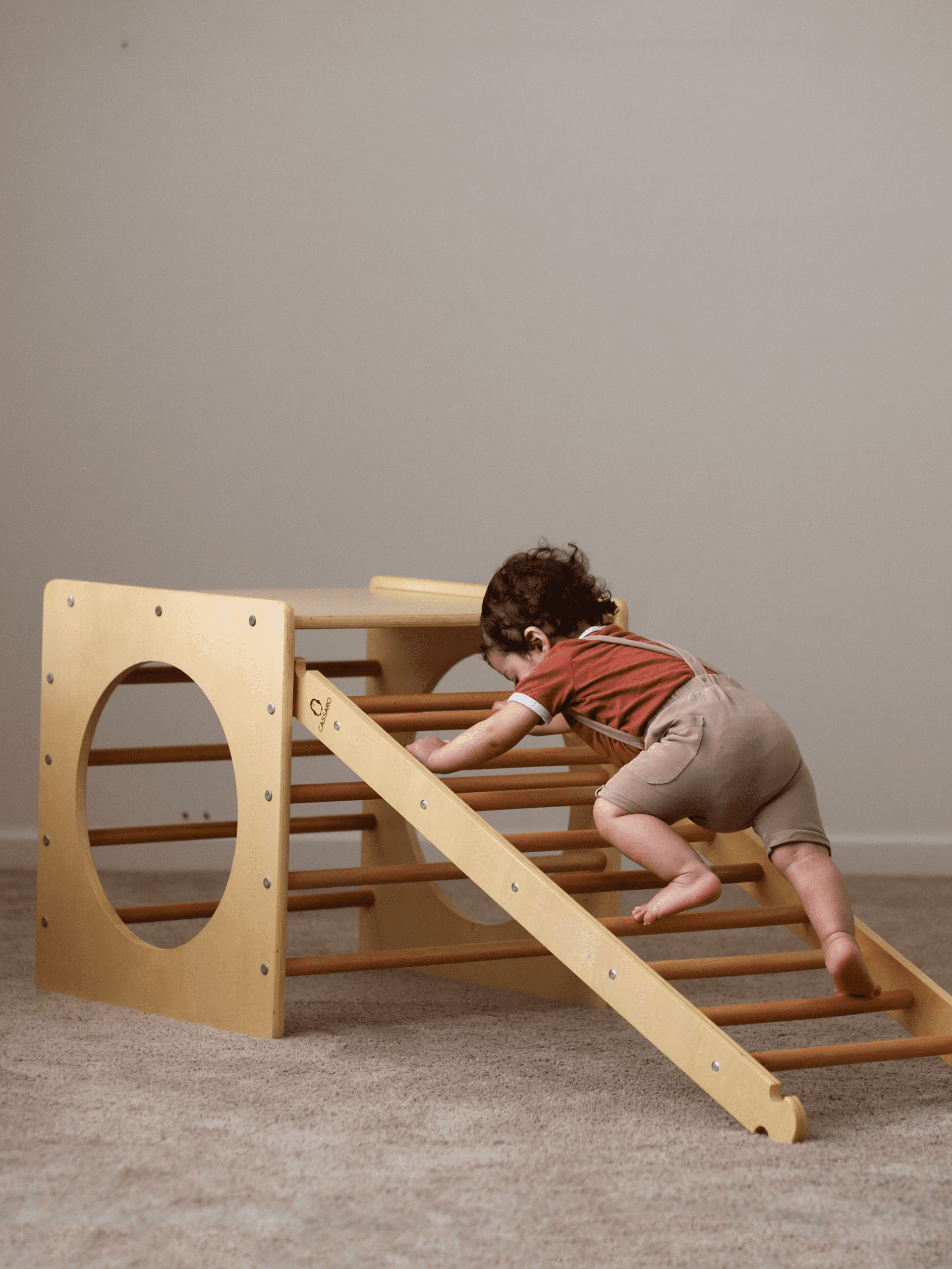 Waldorf Climbing Cube &amp; ladder