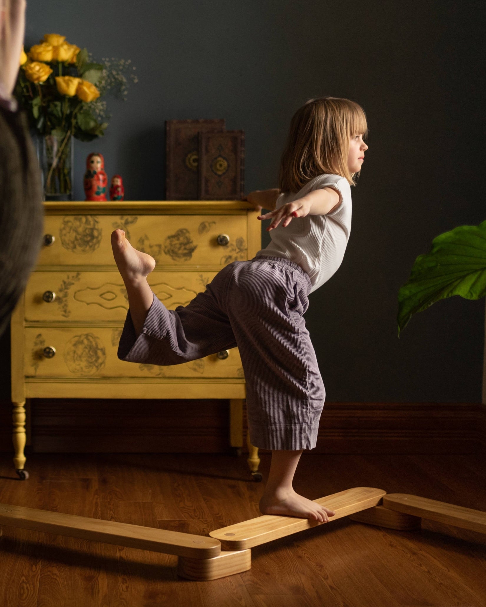 The Horizon Modular Balance Beam – Cassarohome