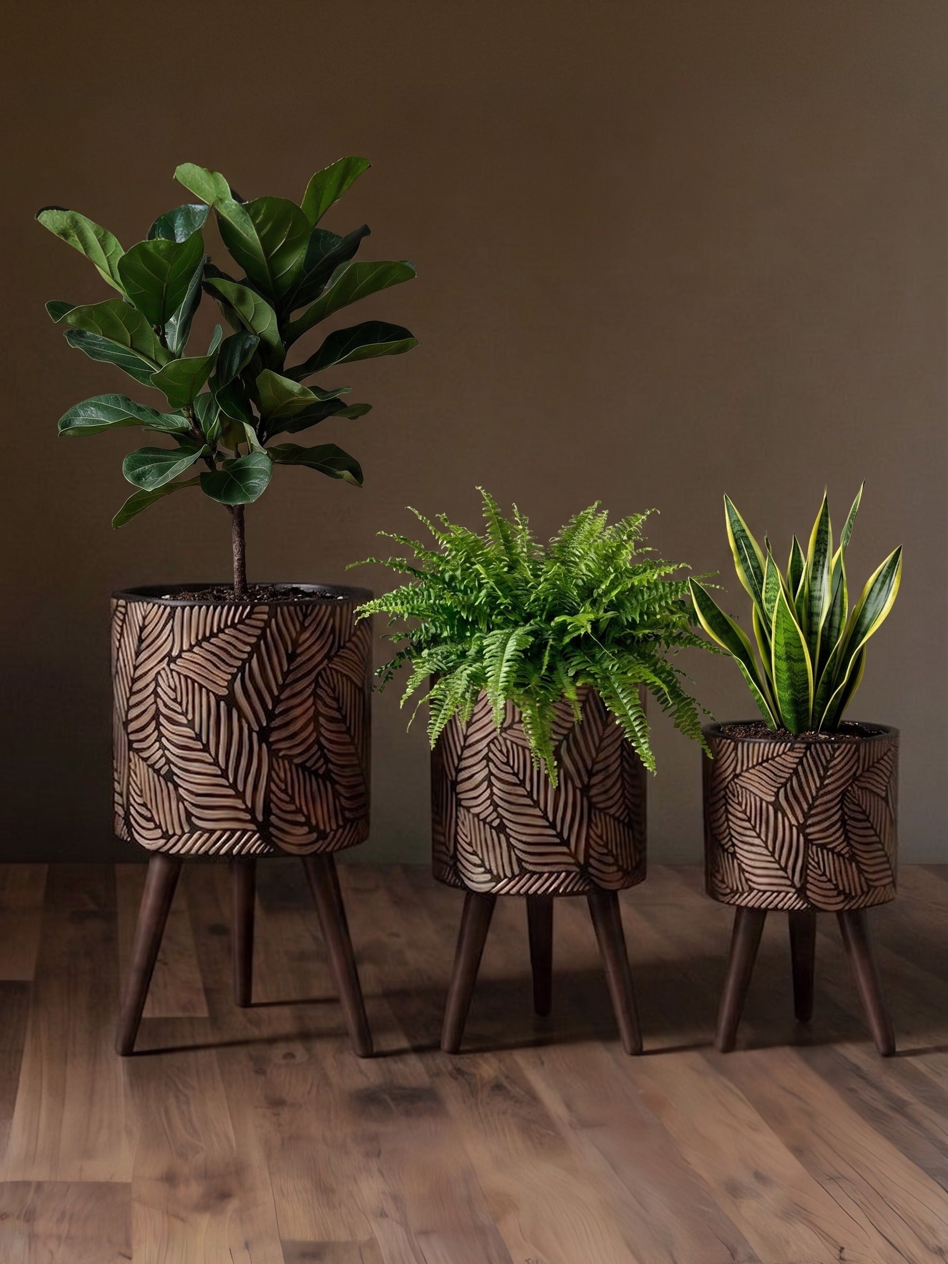The Botanical Relief Trio - Carved Bronze &amp; Walnut Stand Collection