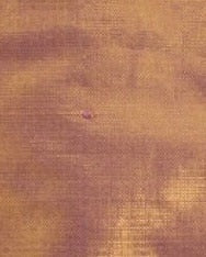 BRILLA - Brown