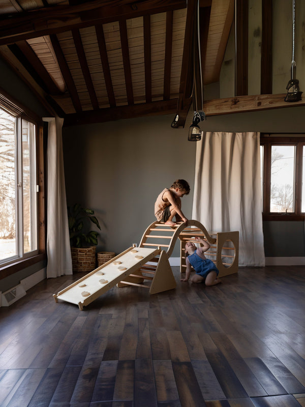 Sierra Nevada Climbing Playset