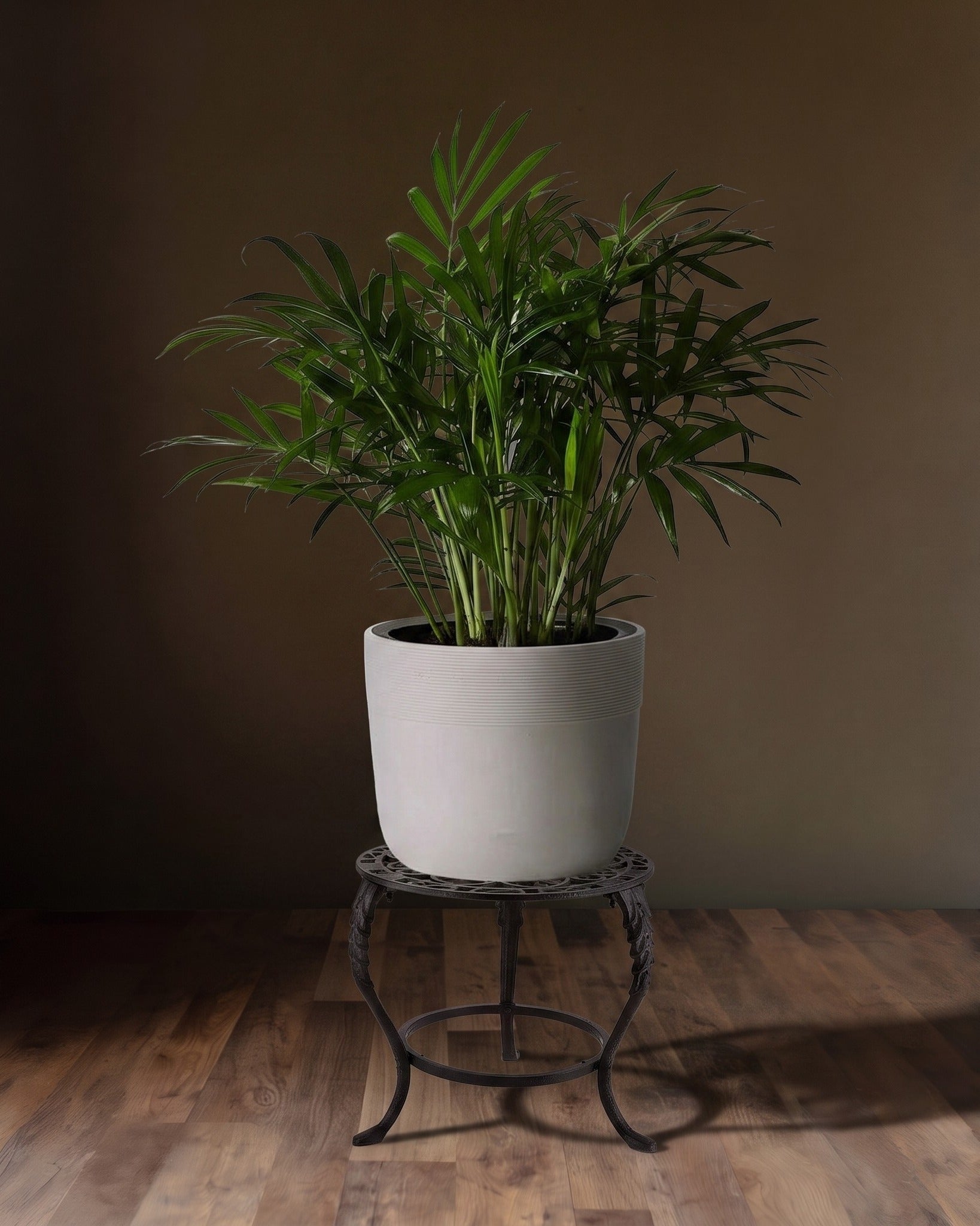 The Foundry Filigree Low-Profile Pedestal