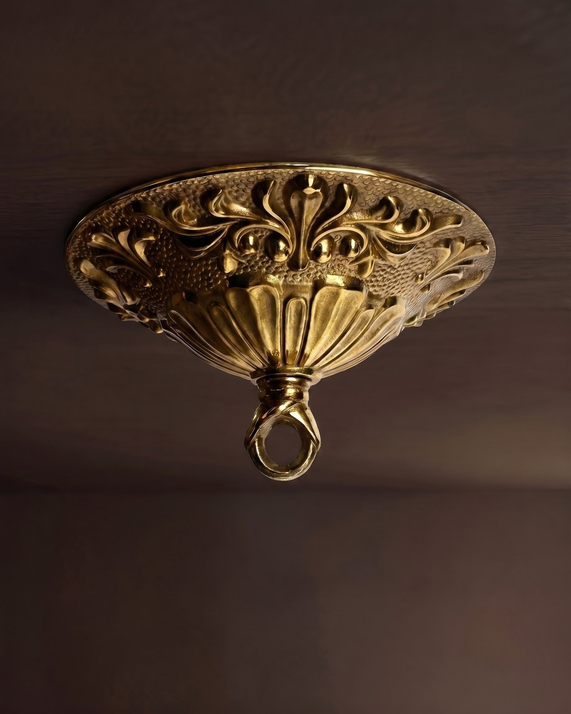 The Heritage Collection: Ornate Brass Canopy Kit with Integrated Loop
