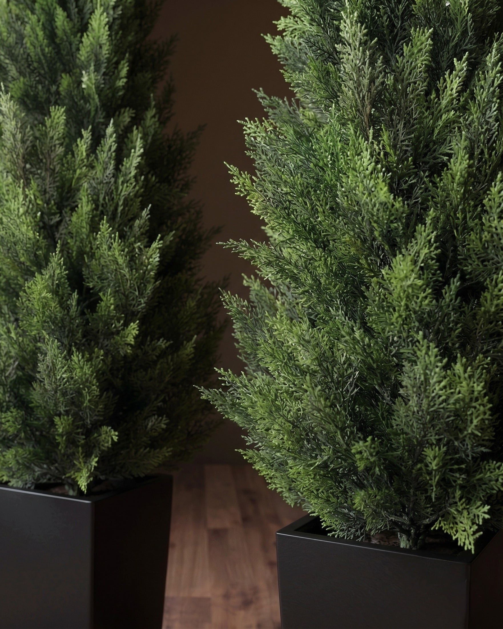 The Veranda Cedar Pair – Architectural Faux Topiaries - Set of 2