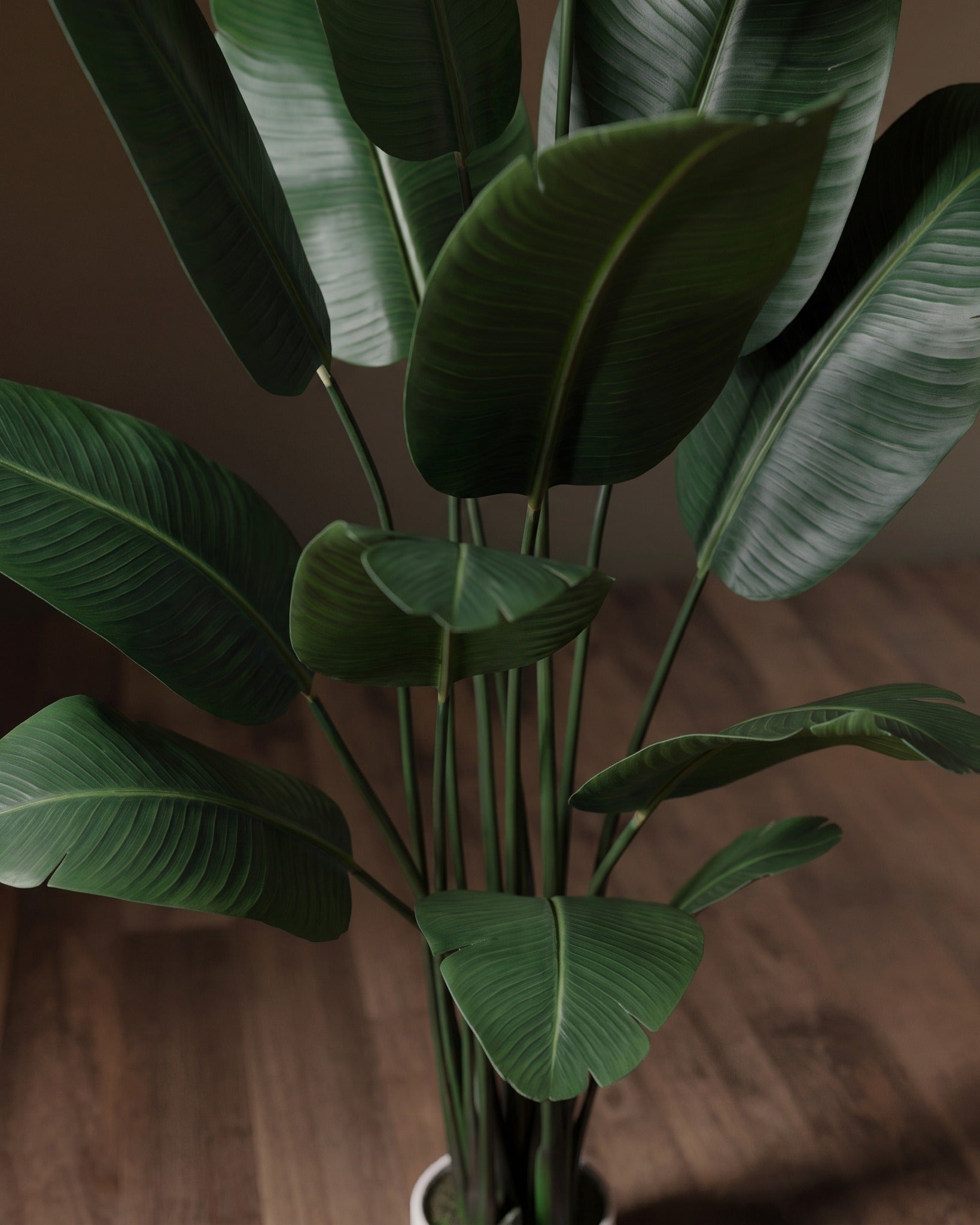 The Grand Strelitzia: Faux Bird of Paradise Tree