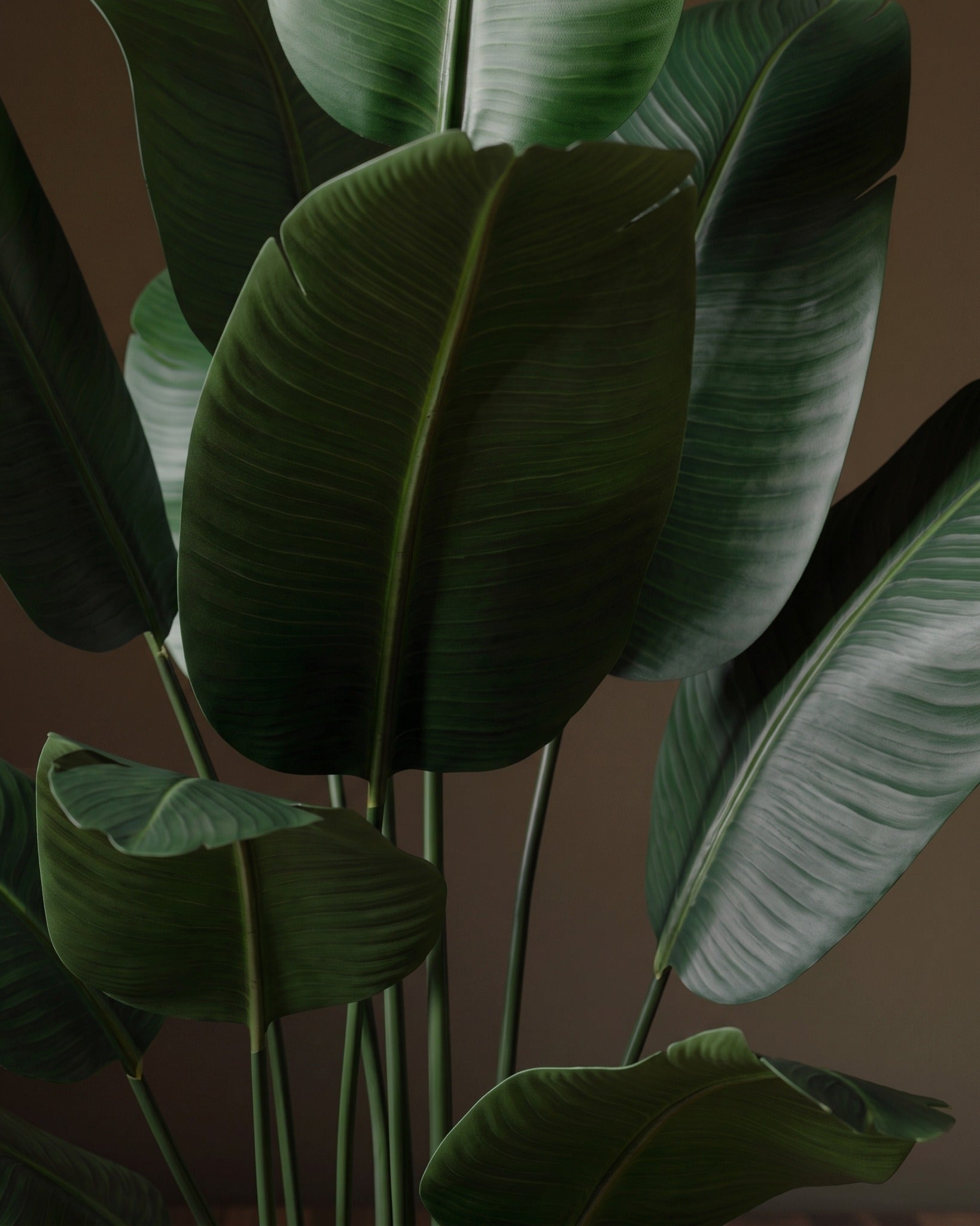 The Grand Strelitzia: Faux Bird of Paradise Tree