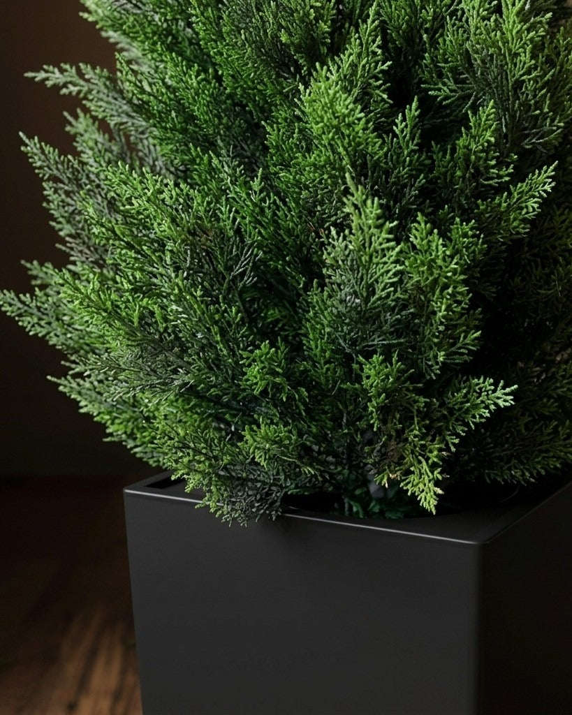 The Veranda Cedar Pair – Architectural Faux Topiaries - Set of 2