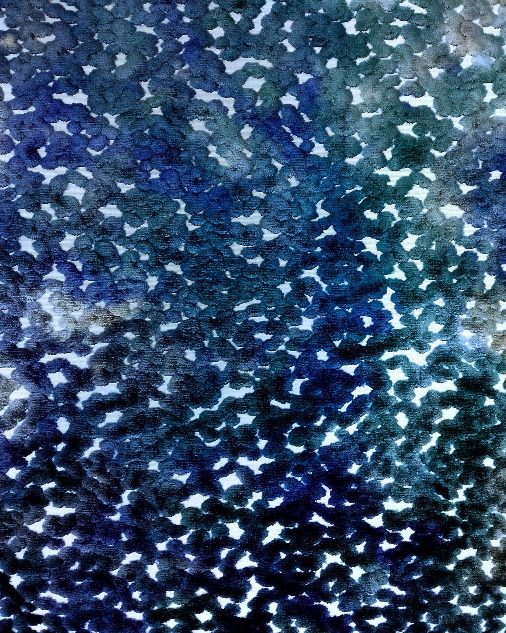 Pomona - Blue