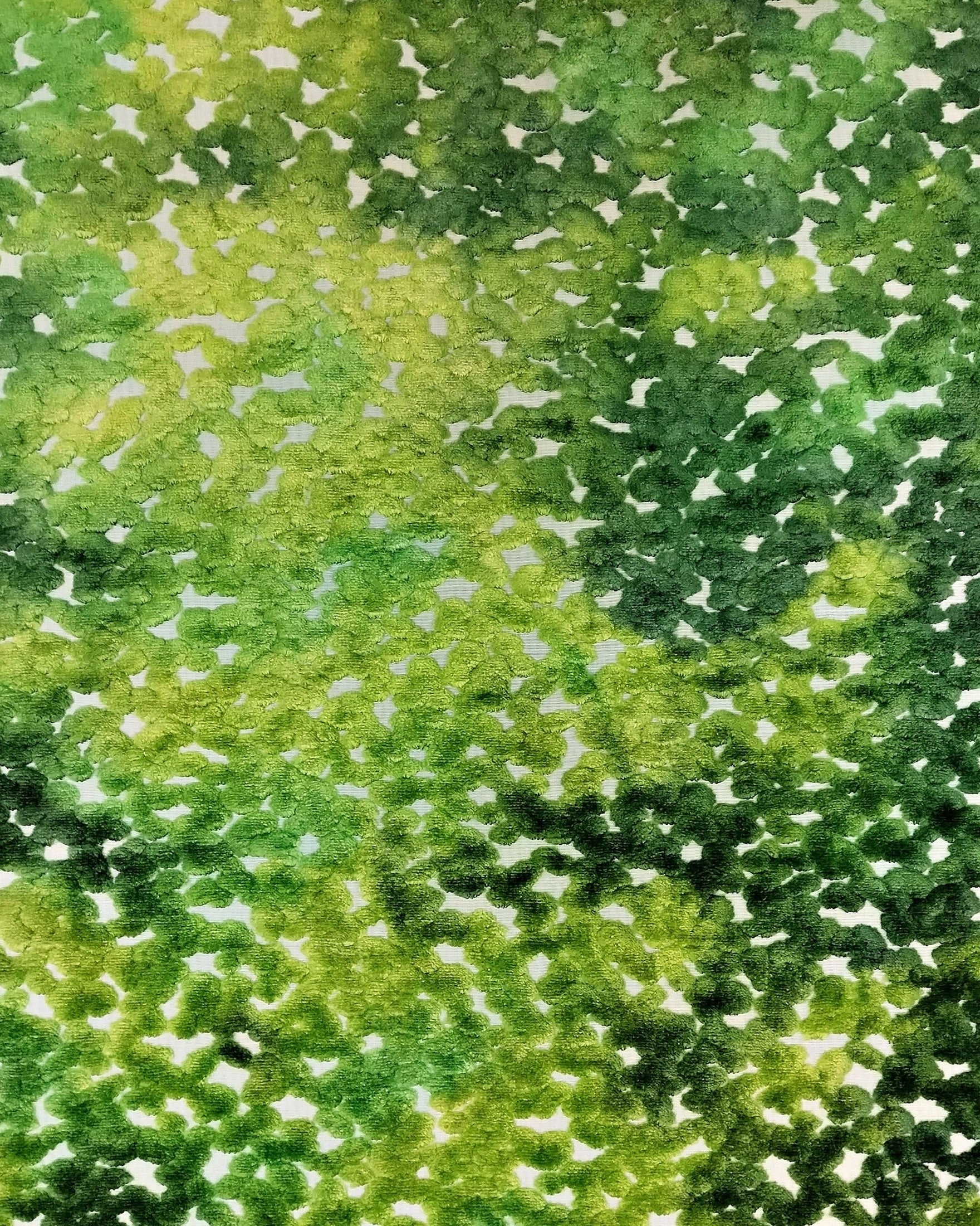 Pomona - Green