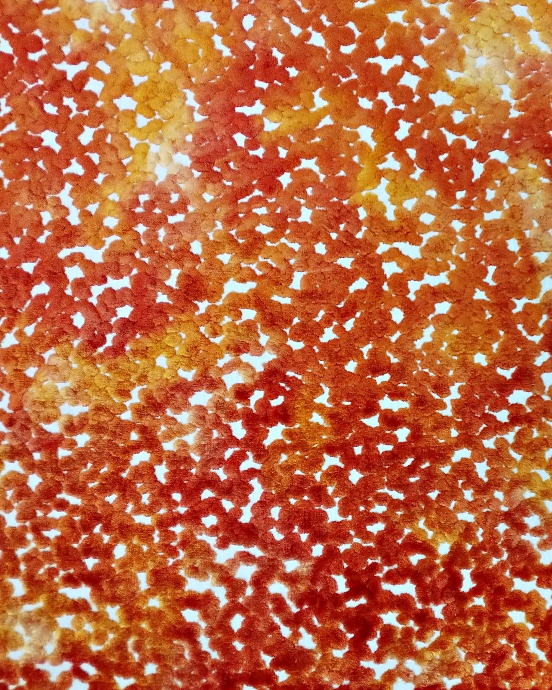 Pomona - Orange
