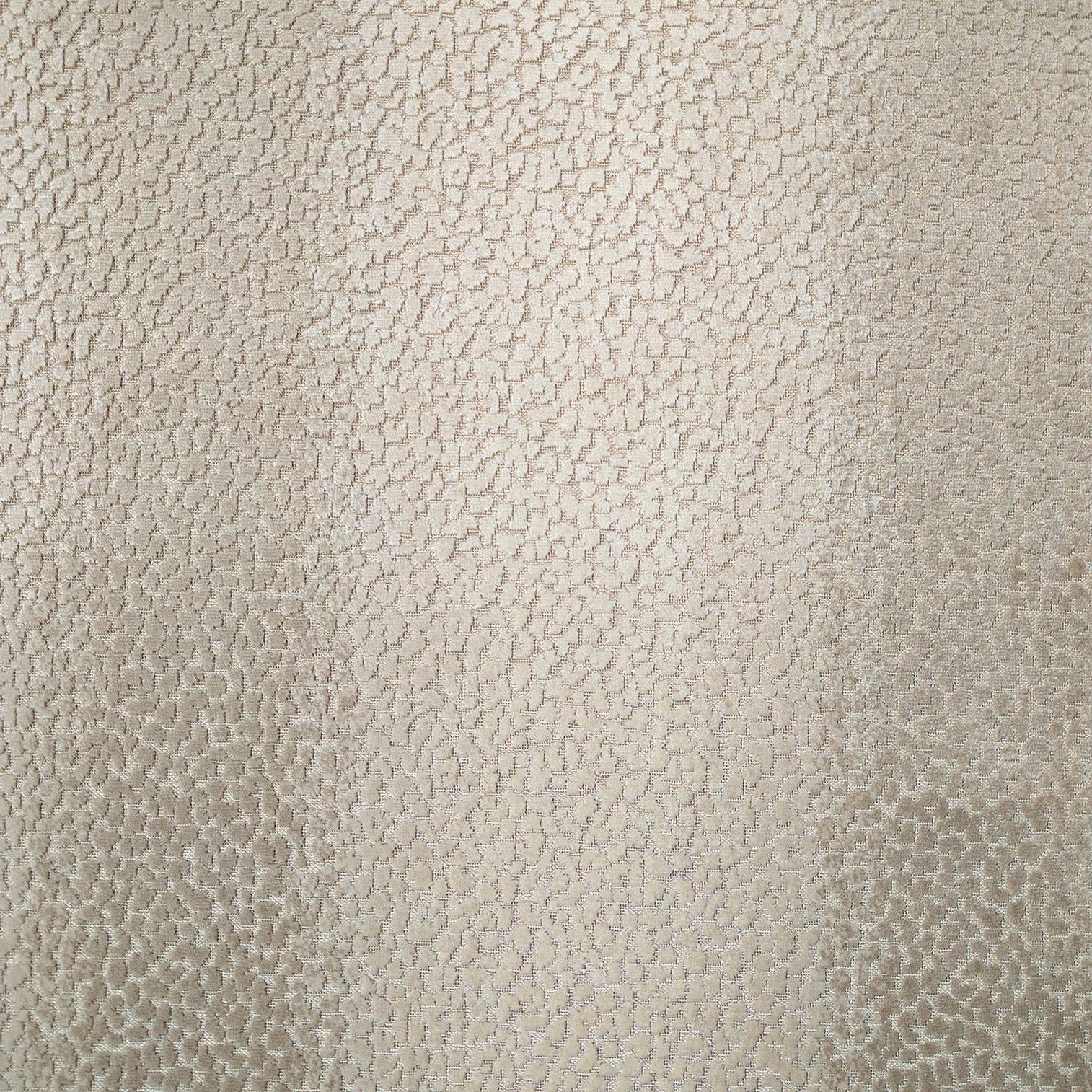 Fabric By The Yard - Leopard Velvet Cream