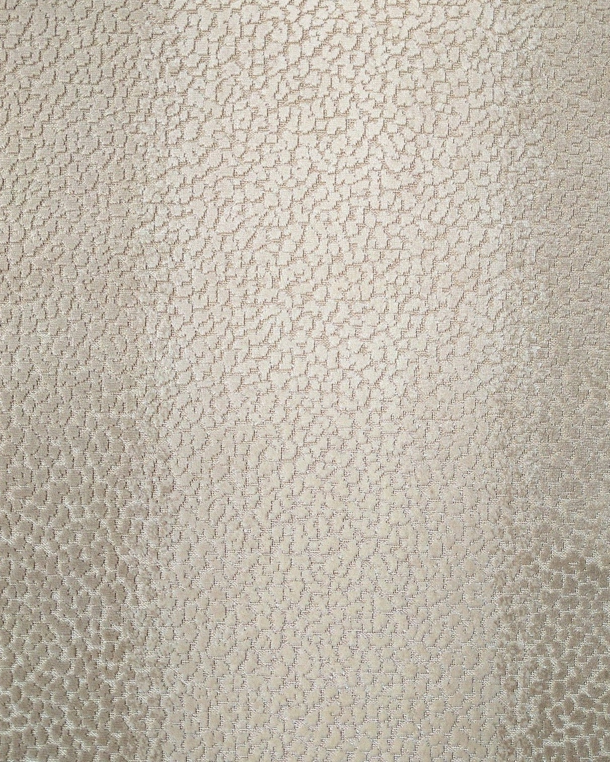 Evangeline - Tan, ombre, multi color, Multi-Color