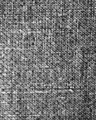 FLEURY - Gray