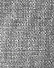 FLEURY - Silver