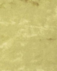 FLORENTIA - Tan