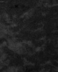 FLORENTIA - Black