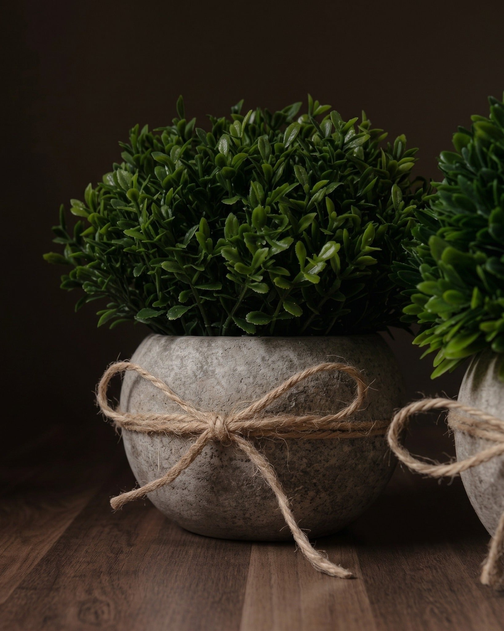 Verdant Atelier™ Curated Botanical Set  Architectural Miniatures in Matte Mineral Vessels