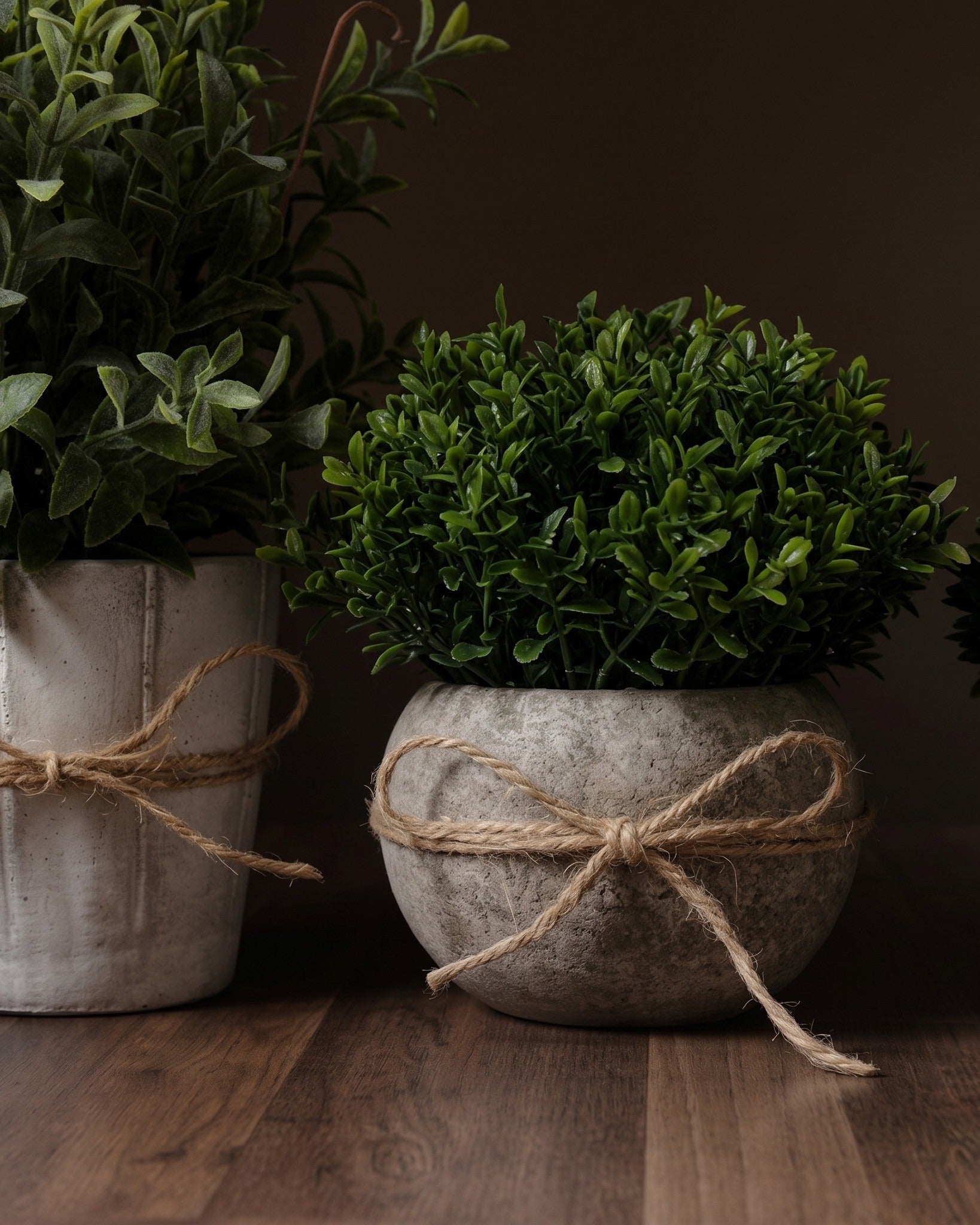 Verdant Atelier™ Curated Botanical Set  Architectural Miniatures in Matte Mineral Vessels