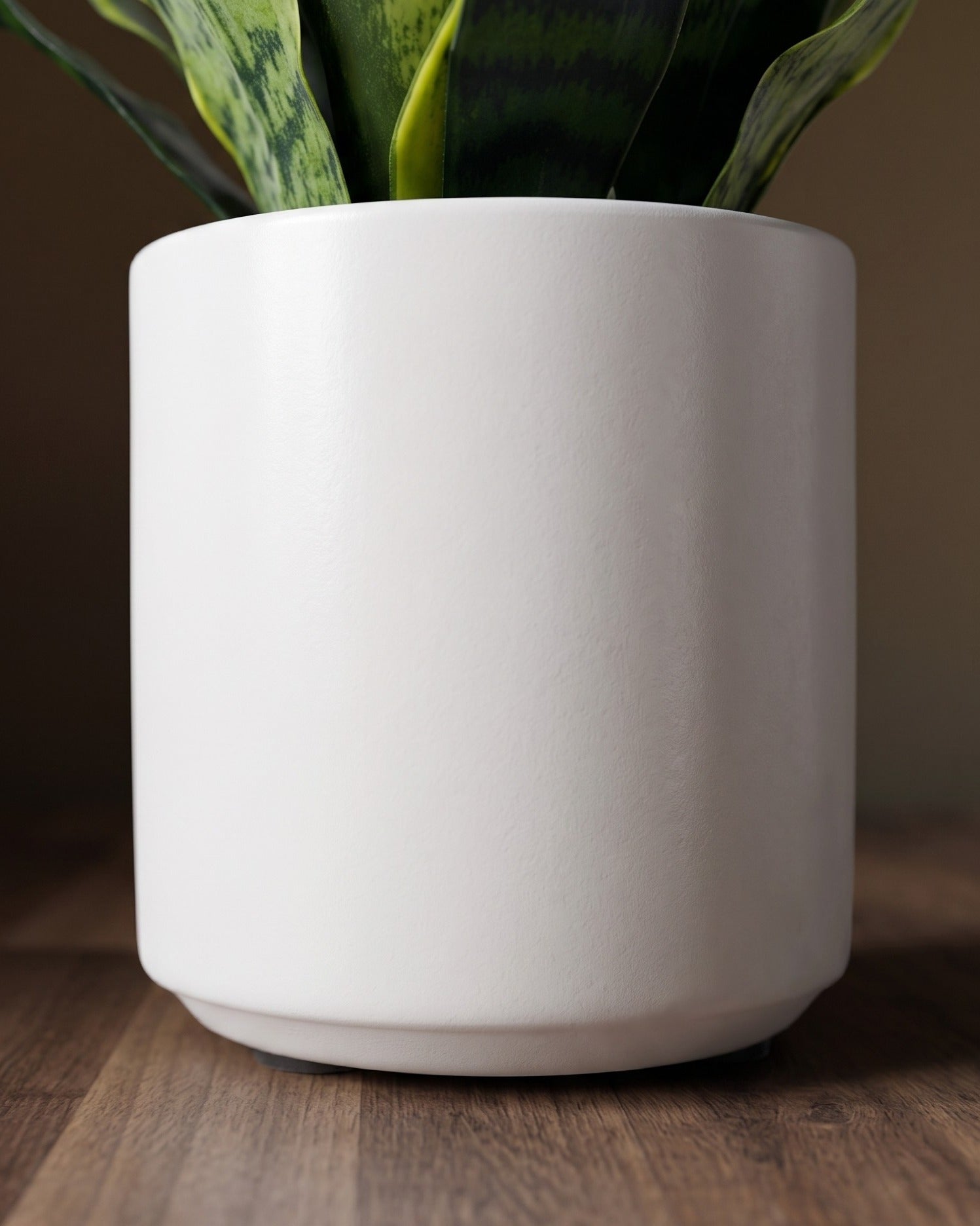 The Sansevieria Studio Planter