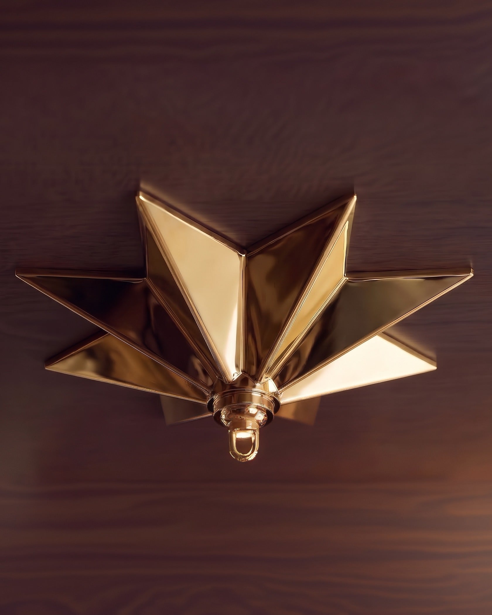 The Astra Cast Brass Ceiling Canopy