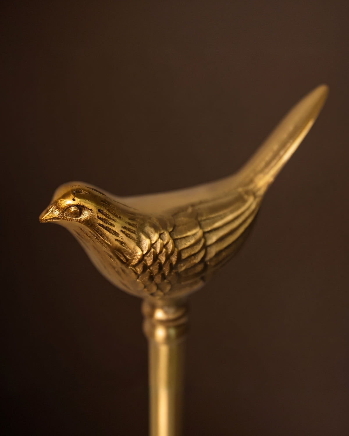 Aviary Brass Paper Towel Holder