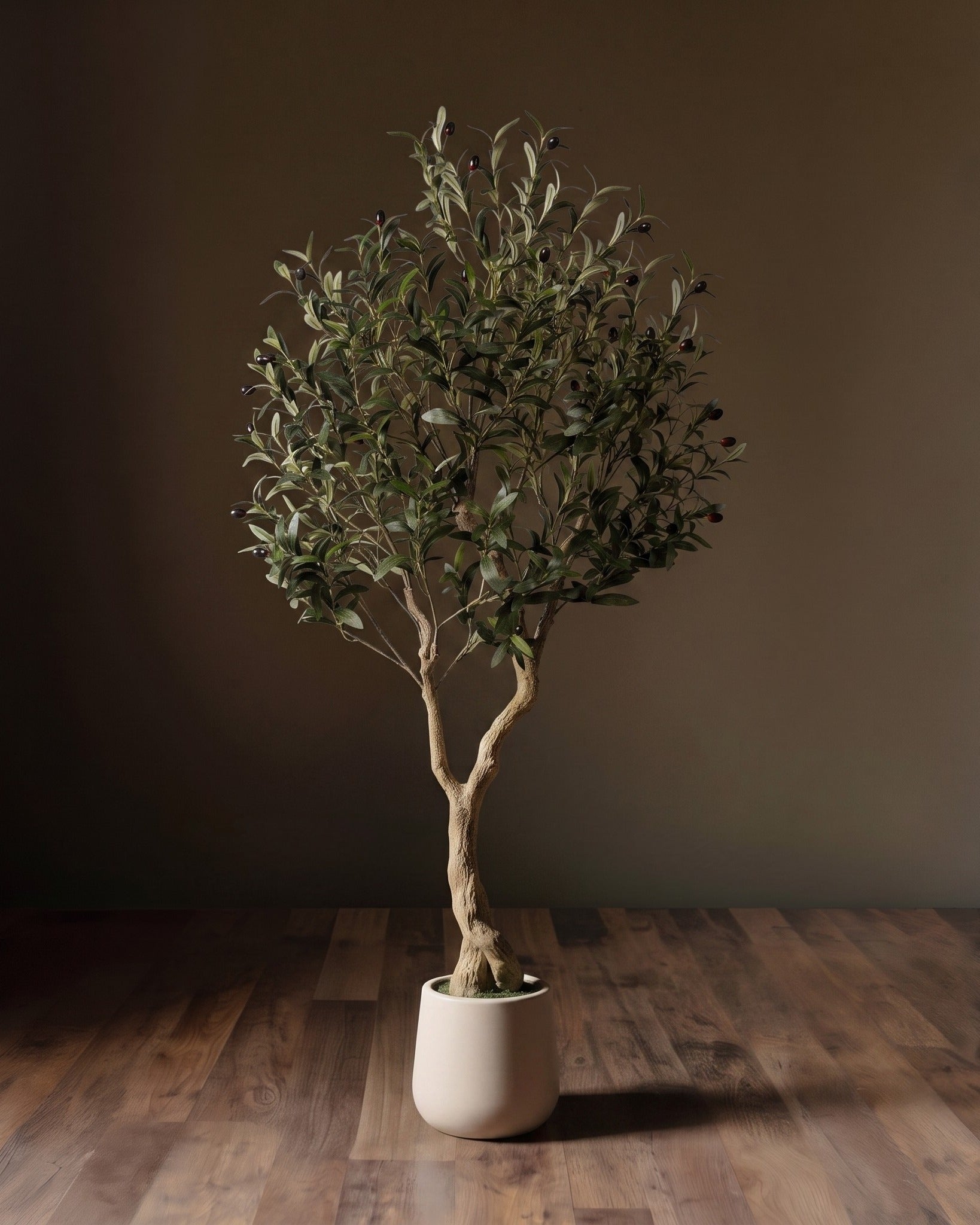 The Tuscan Reserve Artica Olive Tree