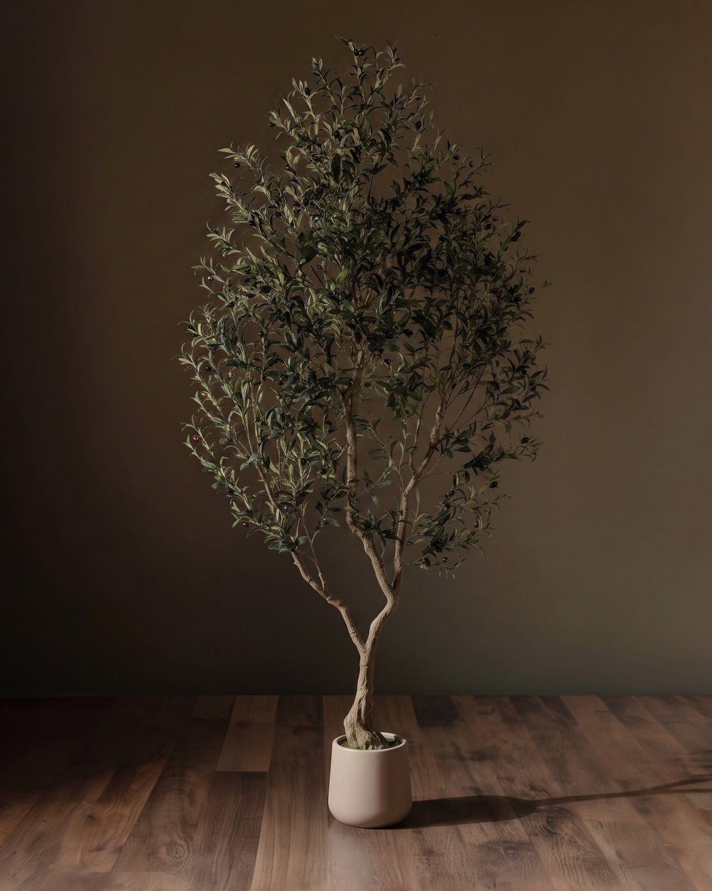 The Tuscan Reserve Artica Olive Tree