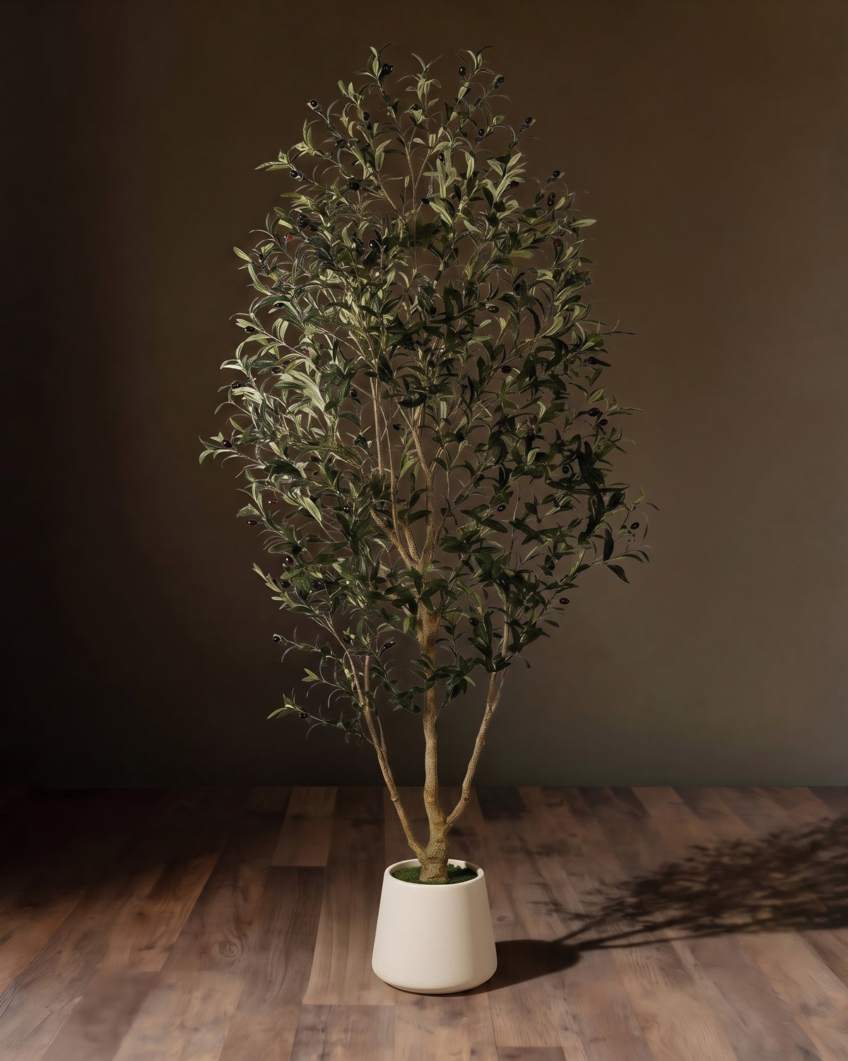 The Monteverdi Faux Olive Tree