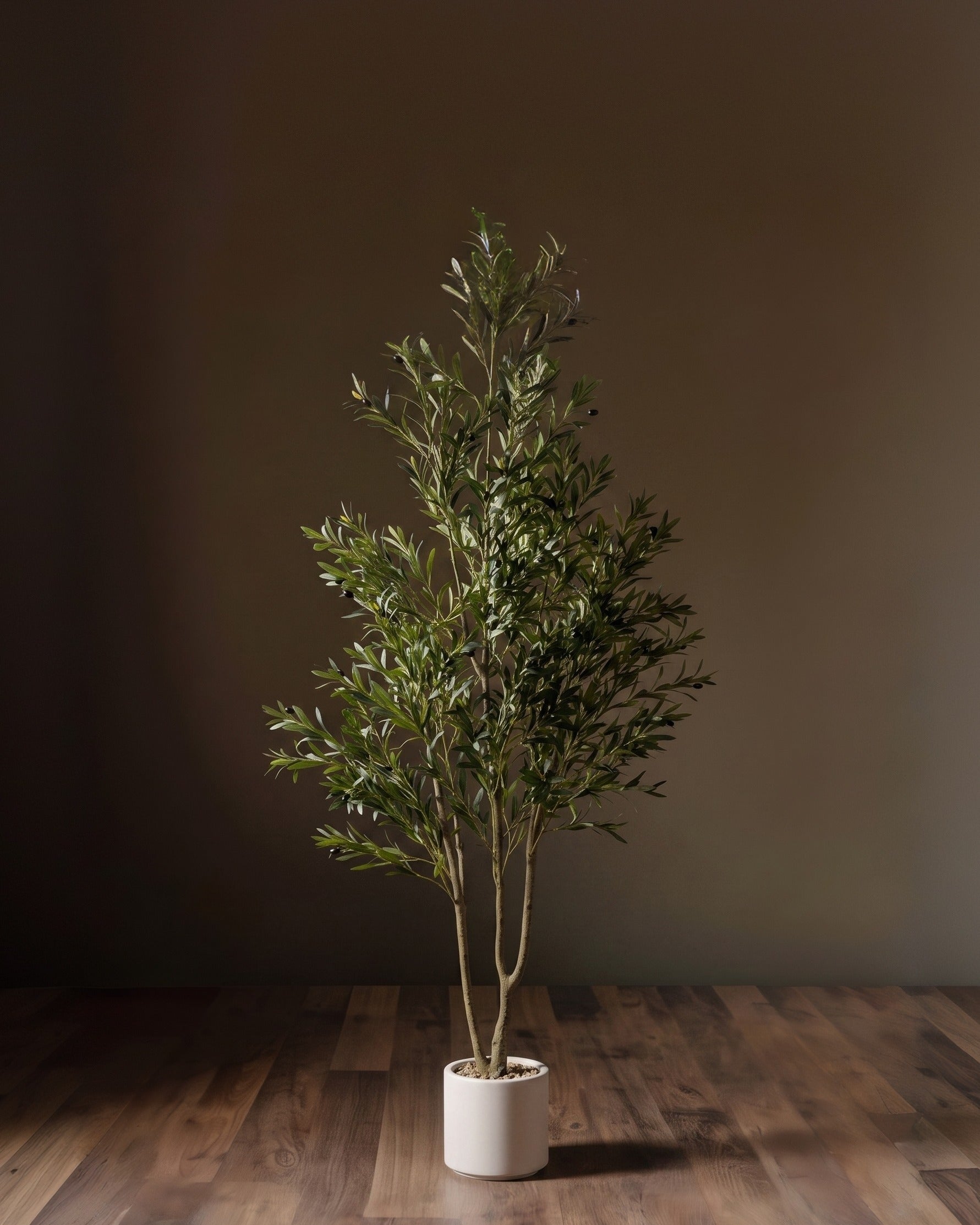 Verona Faux Olive Tree