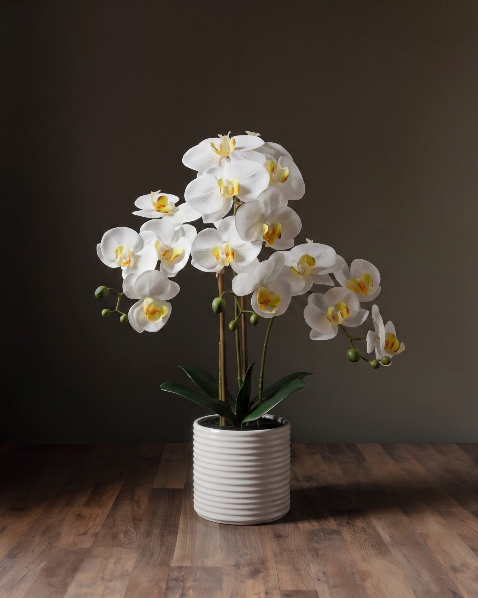 The Botanical Orchid Arrangement  Elegant Phalaenopsis Stems in Fluted Ceramic Vessel