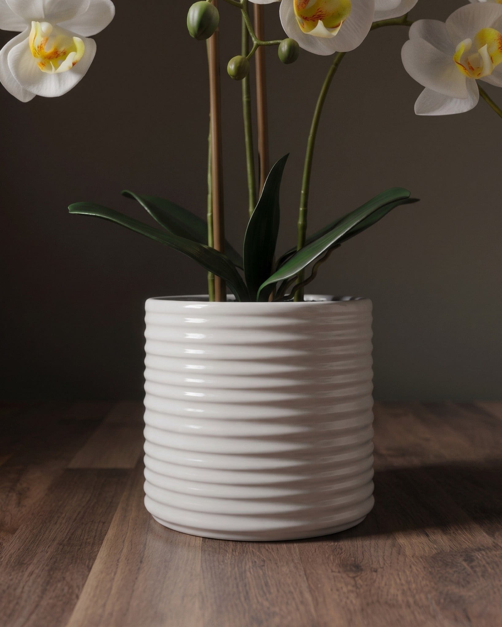 The Botanical Orchid Arrangement  Elegant Phalaenopsis Stems in Fluted Ceramic Vessel