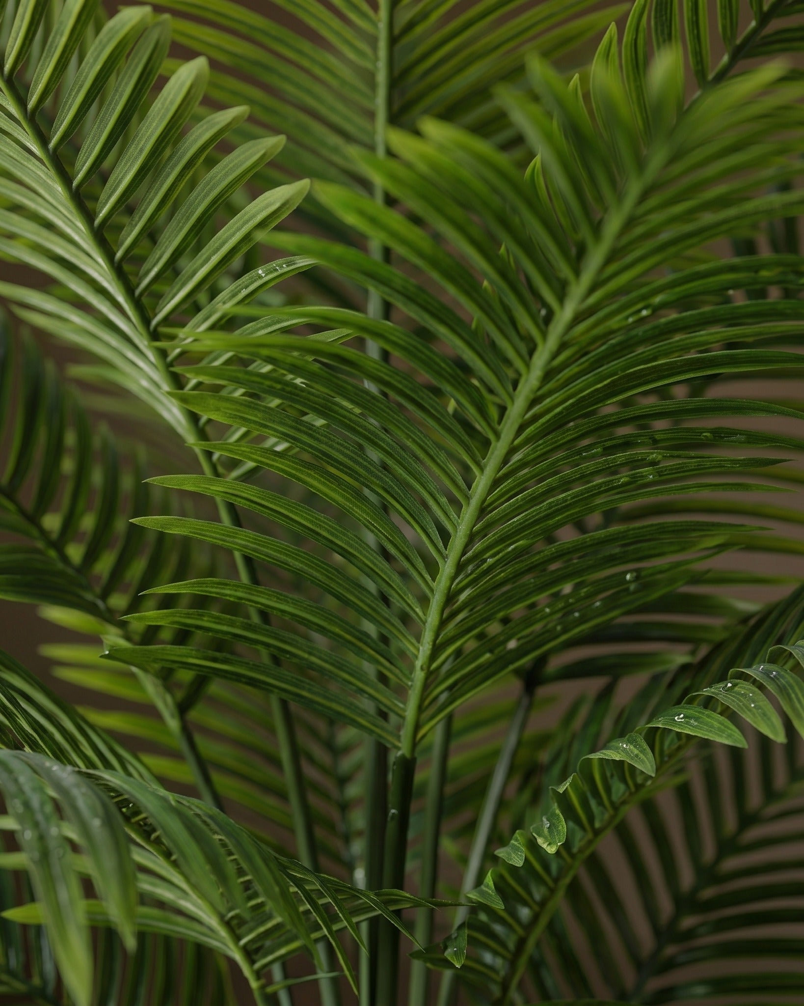 Verona Silk Areca Palm &amp; Pedestal Planter