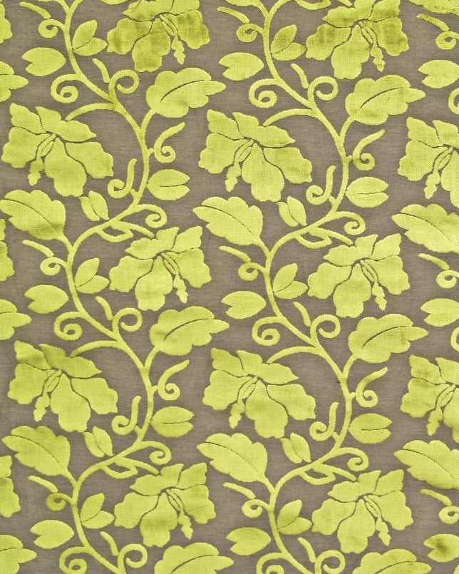 PEMBROKE - Green