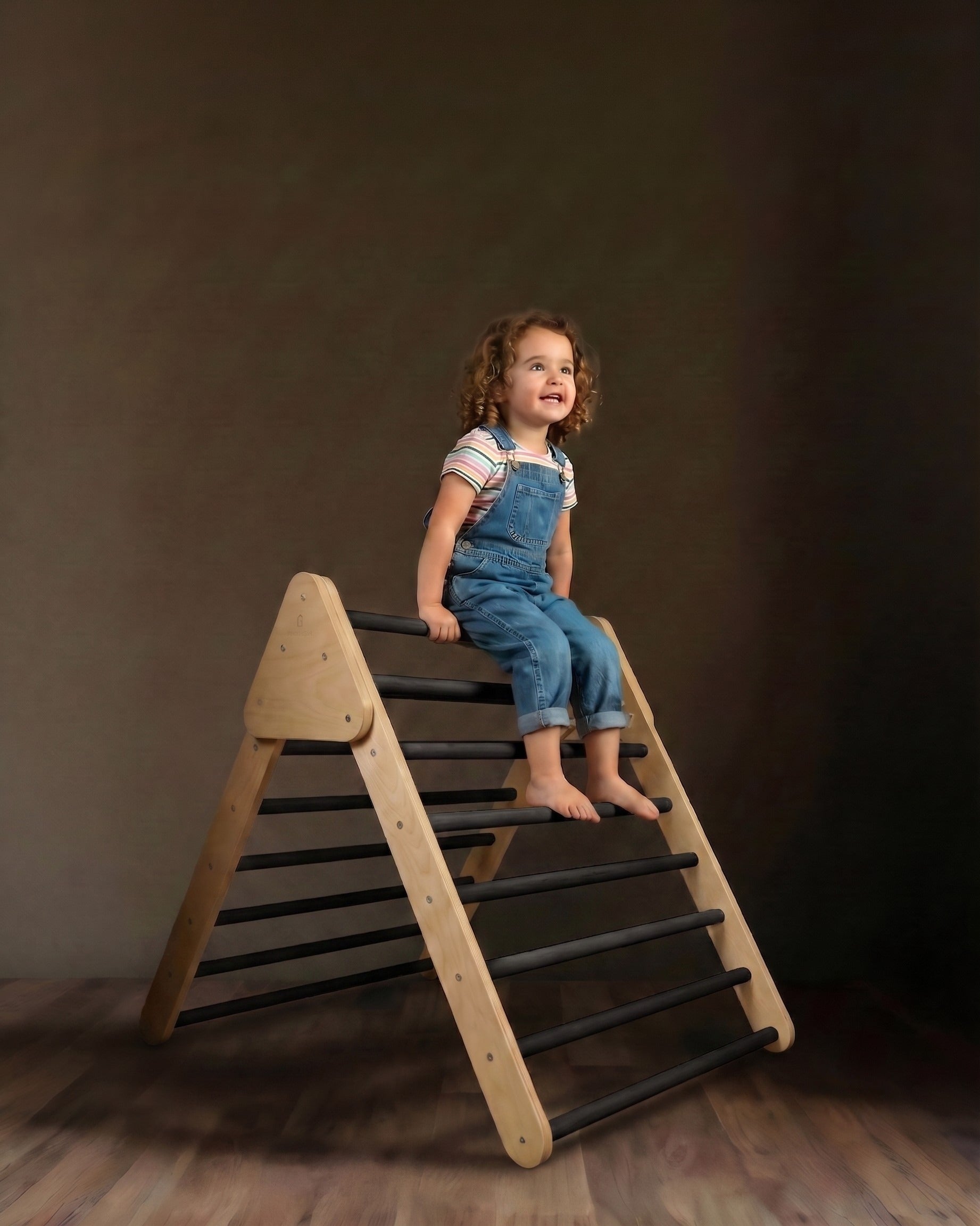 The Elevate Collection: Premium Foldable Pikler Triangles