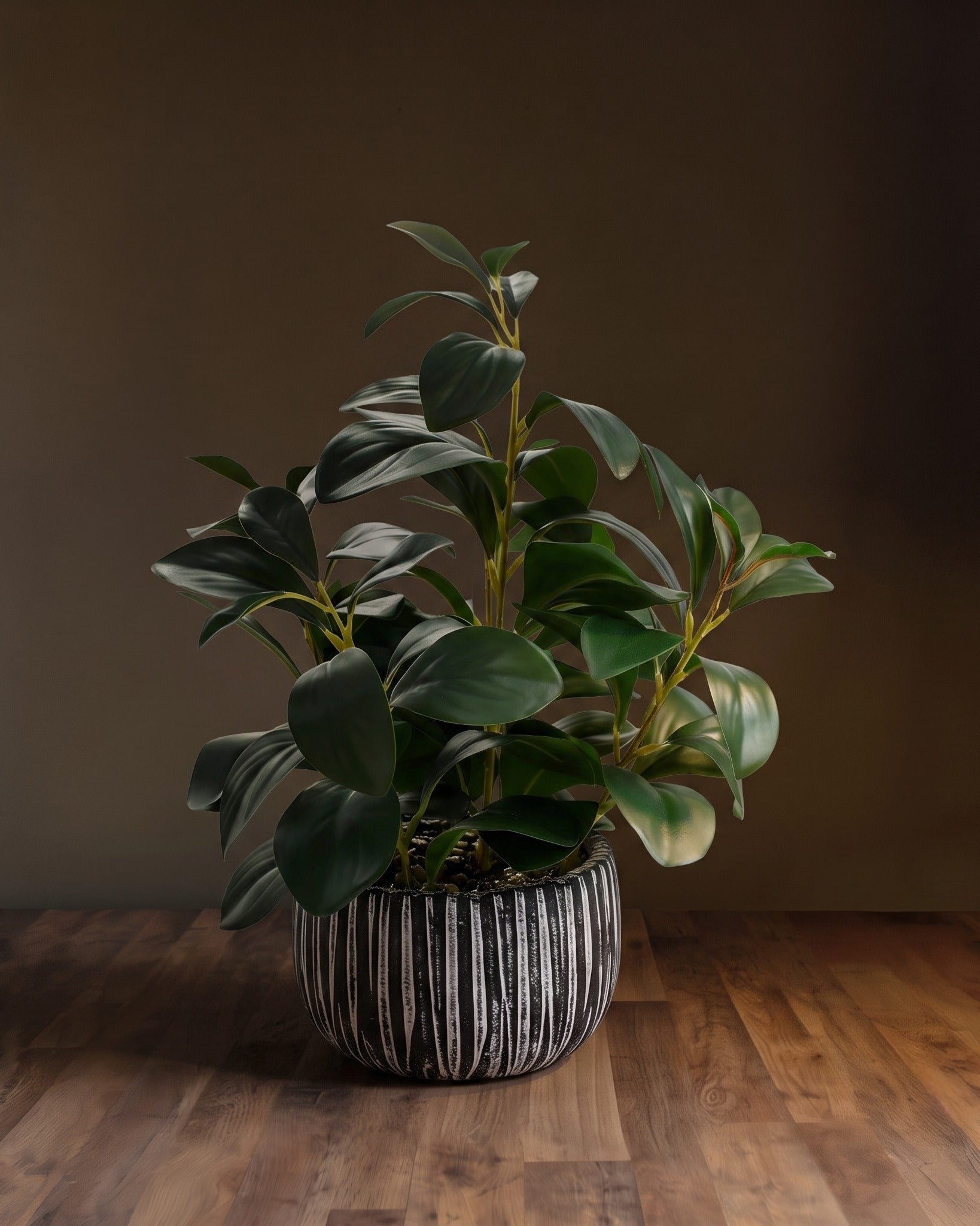 The Studio Ficus — Artfully Botanicals Collection in Striped Clay Pot