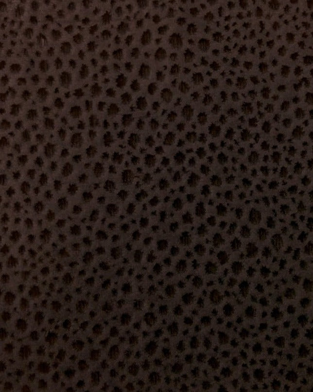 SALZANA - Brown