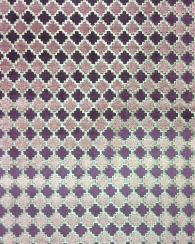 SENECA - Purple