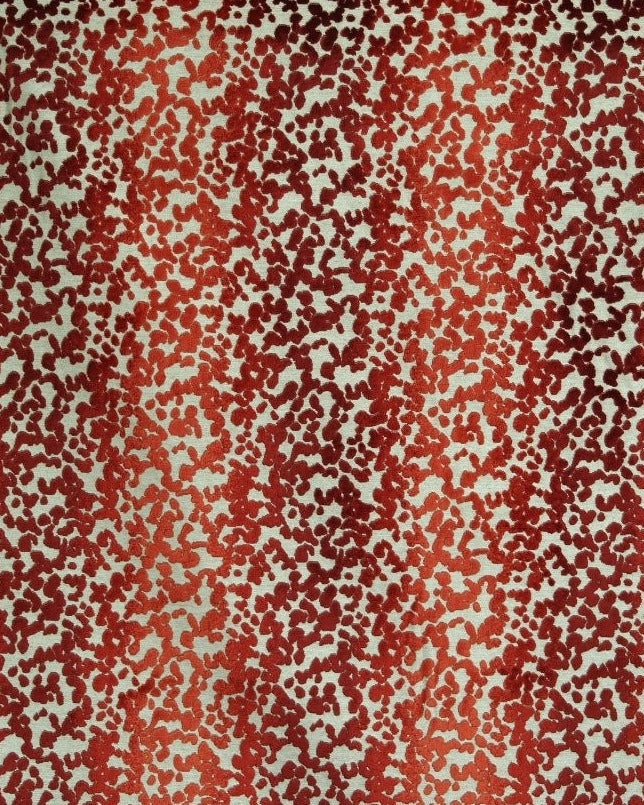 SERENGETI - Orange, multi-color