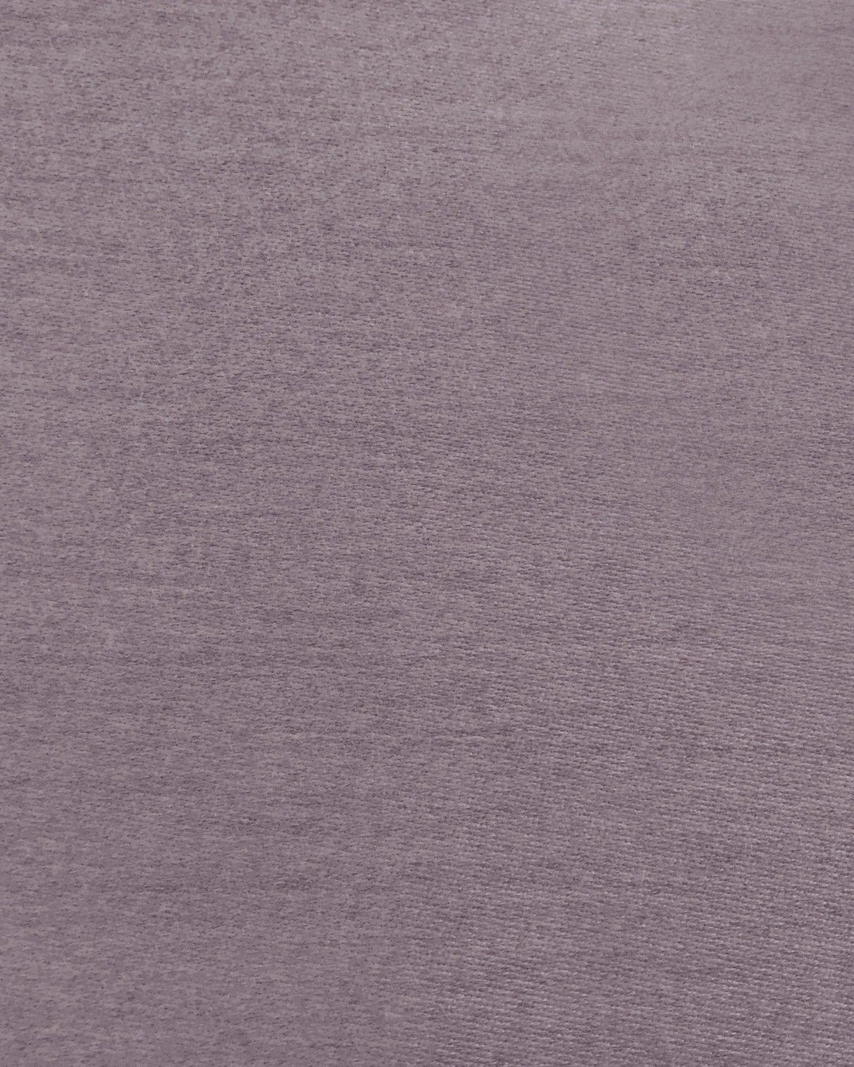South Padre-Purple