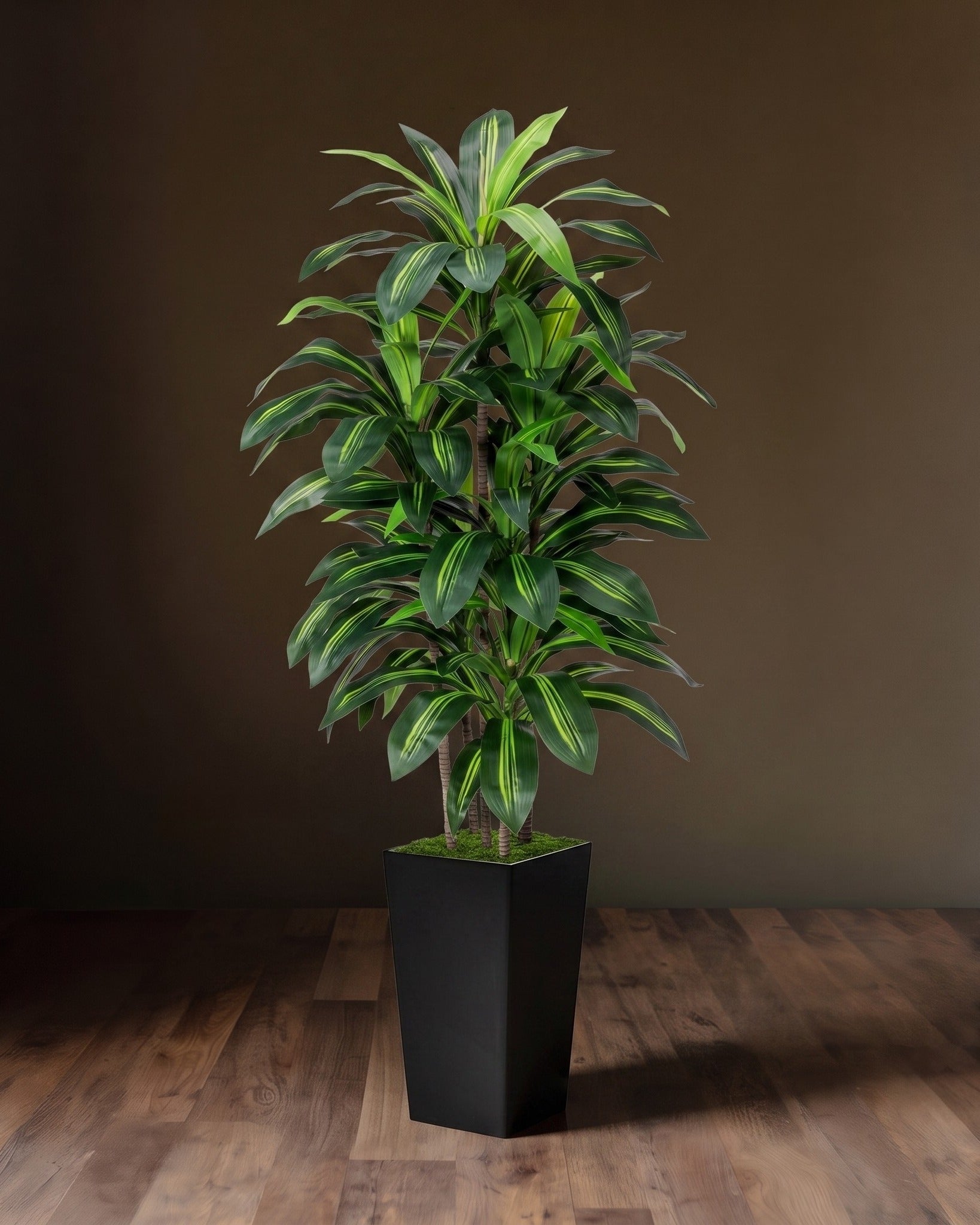 Botanical Elegance: Layered Dracaena Trunk Ensemble