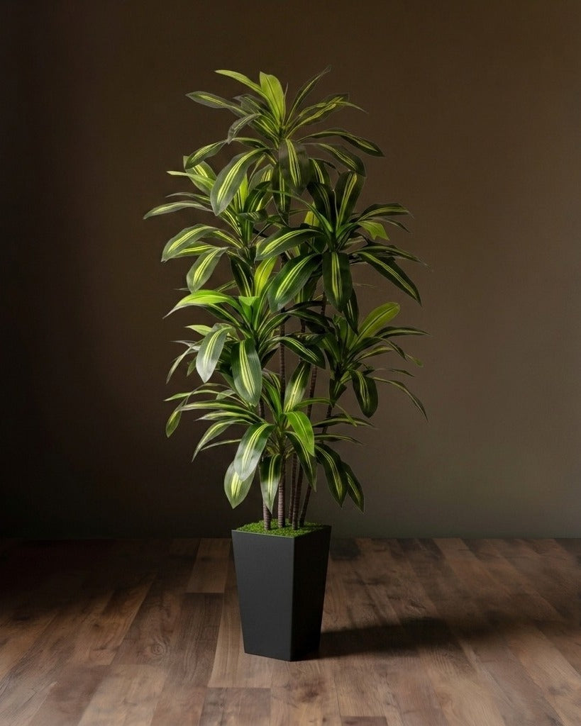 Botanical Elegance: Layered Dracaena Trunk Ensemble