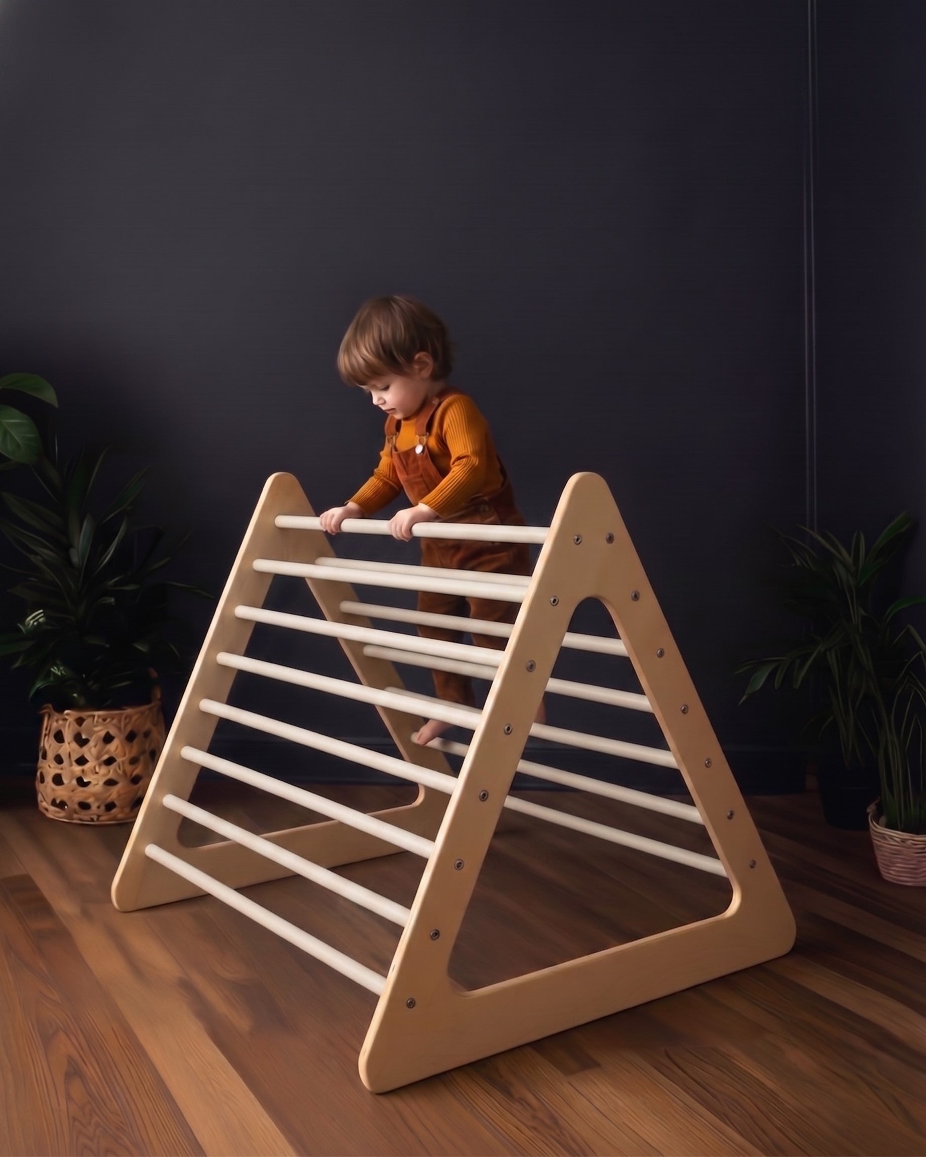 The Premium Jumbo Waldorf Climbing Triangle